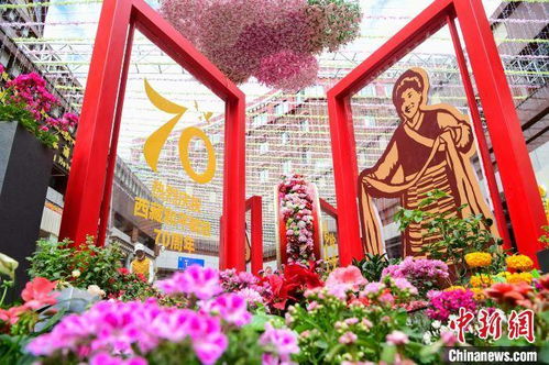 西藏首屆花卉藝術(shù)旅游文化開(kāi)幕 數(shù)萬(wàn)鮮花綻放雪域高原